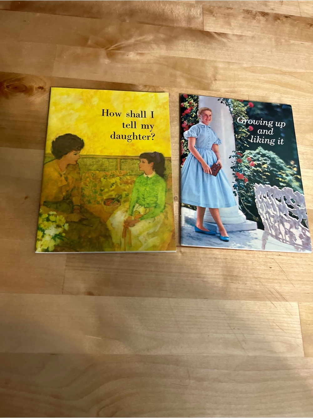 Vintage 1960s Modess Parental Advice Pamphlets on Speaking about Menstruation
